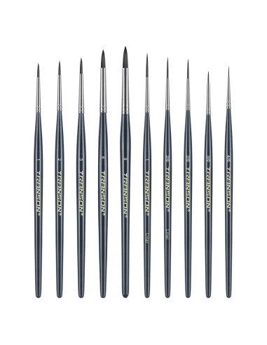 Set de Pinceles de Detalle Transon 10 Piezas para Pintura