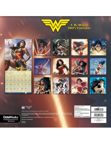 2025 DC Comics Wonder Woman Wall Calendar