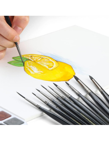 Set de Pinceles de Detalle Transon 10 Piezas para Pintura