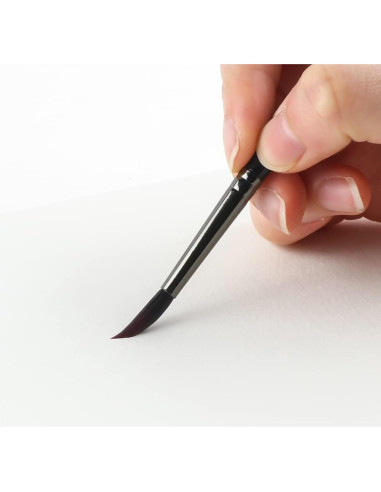 Set de Pinceles de Detalle Transon 10 Piezas para Pintura