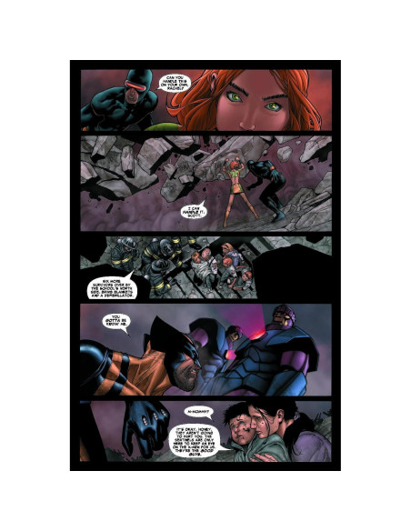 Civil War [Marvel Premier Collection]