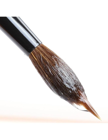 Juego de Pinceles de Acuarela Dainayw 6 Pcs Sable Detalle