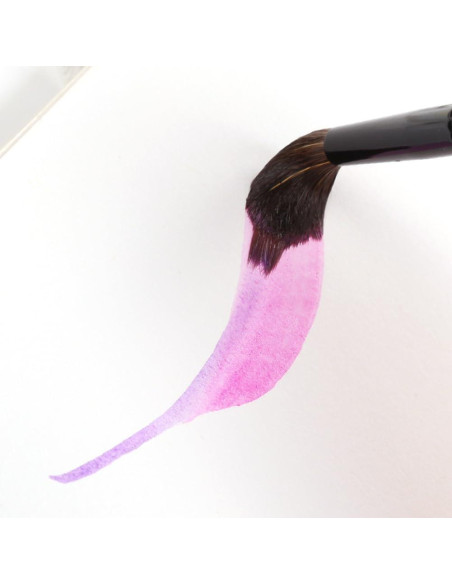 Juego de Pinceles de Acuarela Dainayw 6 Pcs Sable Detalle Juego de Pinceles de Acuarela Dainayw 6 Pcs Sable Detalle