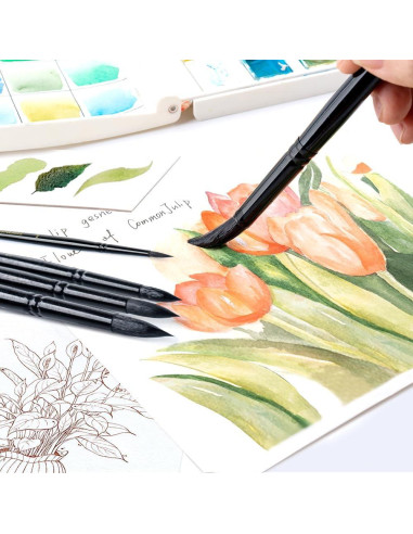 Set de 8 Pinceles Redondos TRANSON para Acuarela y Acrílico