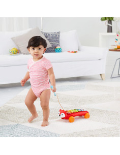 Xilófono para Bebés Skip Hop Zorro 8 Teclas Coloridas 2