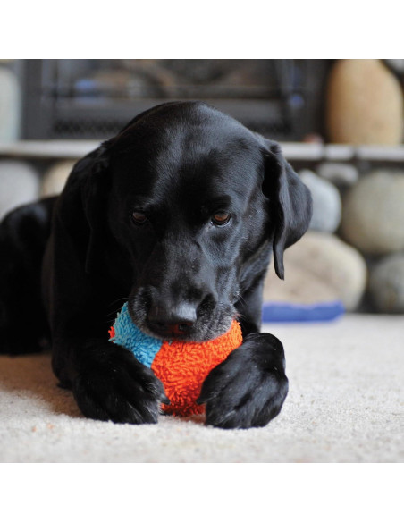Chuckit! Indoor Fetch Shaker Juguete para Perros 19.69 cm