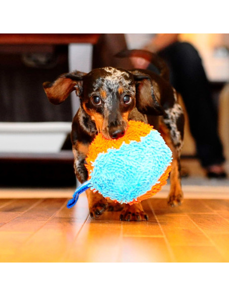 Chuckit! Indoor Fetch Shaker Juguete para Perros 19.69 cm