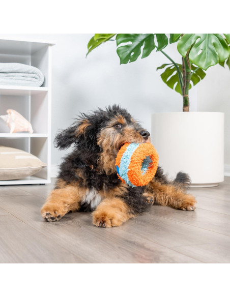 Chuckit! Rodillo Fetch Interior para Perros - Naranja y Azul