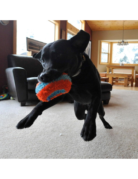 Chuckit! Rodillo Fetch Interior para Perros - Naranja y Azul