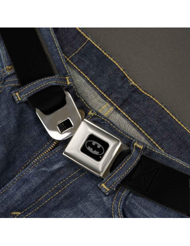 Cinturón de Seguridad Buckle-Down Multicolor 24-38 cm