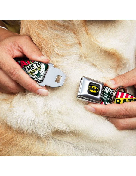 Collar de Perro Buckle-Down Batman 3,81 cm Ancho Grande