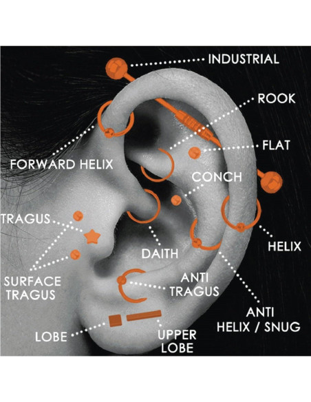 Kit de Piercing Corporal BodyJ4You 36PC - Acero Quirúrgico 14G 16G Kit de Piercing Corporal BodyJ4You 36PC - Acero Quirúrgico 14G 16G