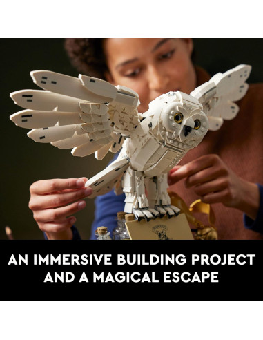 LEGO Harry Potter Iconos de Hogwarts 76391 20 Aniversario