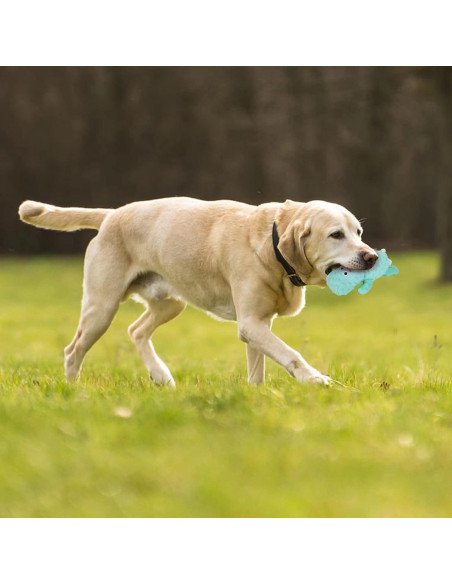 Juguete para Perro DODODOLA Hipopótamo de Peluche Squeaky