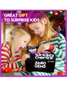 Kit de Excavación de Gemas XXTOYS - 18 Gemas Reales 2