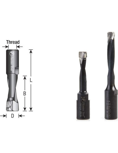 Broca de Carburo Amana Tool 12mm 2 Flutas para Festool