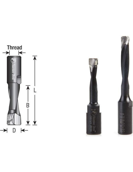 Broca de Carburo Amana Tool 12mm 2 Flutas para Festool
