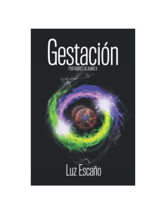 Portadores de almas II. Gestacion: Gestacion (Spanish Edition)