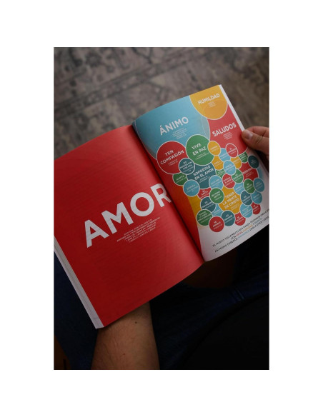 Teología visual: Cómo ver y comprender la verdad acerca de Dios (Spanish Edition)