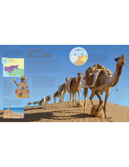 Secretos de la historia (Explanatorium of History) (DK Explanatorium) (Spanish Edition)