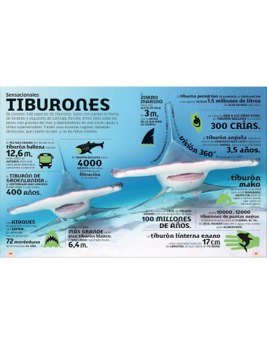 El mundo en números: Animales (Our World in Numbers Animals) (DK Oour World in Numbers) (Spanish Edition)