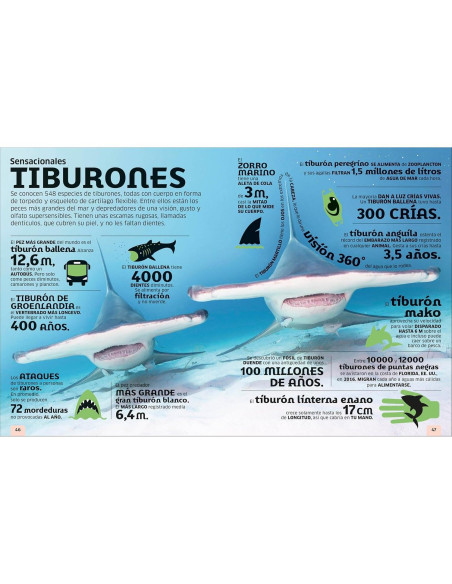 El mundo en números: Animales (Our World in Numbers Animals) (DK Oour World in Numbers) (Spanish Edition)