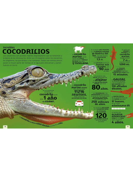 El mundo en números: Animales (Our World in Numbers Animals) (DK Oour World in Numbers) (Spanish Edition)