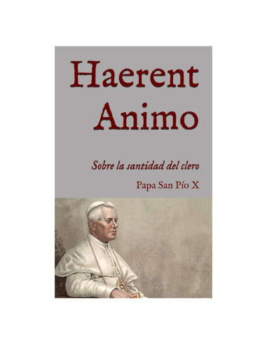 Haerent Animo: Exhortación apostólica sobre la santidad del clero (1908) (San Lino Libros) (Spanish Edition)
