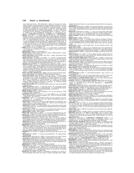 Merriam-Webster's Collegiate Dictionary, 11th Edition, Jacketed Hardcover, Indexed