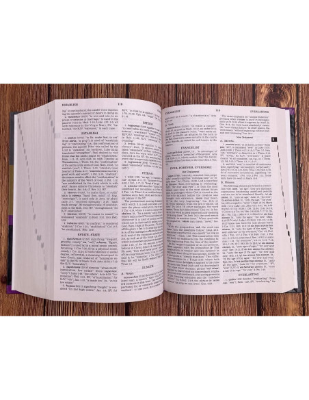 Strong's Concise Concordance And Vine's Concise Dictionary Of The Bible Two Bible Reference Classics In One Handy Volume