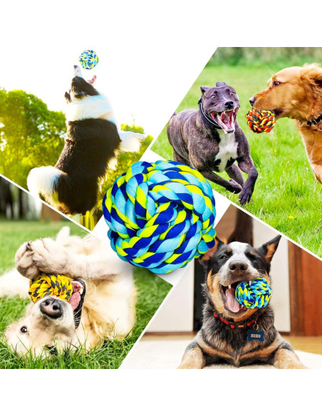 Juguetes para Perros SHARLOVY Paquete de 6 Indestructibles