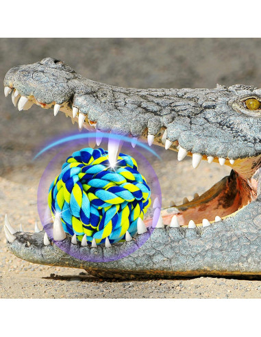 Juguetes para Perros SHARLOVY Paquete de 6 Indestructibles