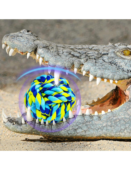 Juguetes para Perros SHARLOVY Paquete de 6 Indestructibles