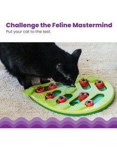 Catstages Nina Ottosson Buggin' Out - Rompecabezas para Gatos 2