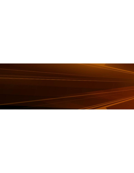 NBA Live 10 - Electronic Arts - Xbox 360 - Baloncesto Realista