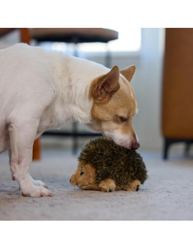 Juguete de perro peluche Hedgehogz Outward Hound Pequeño