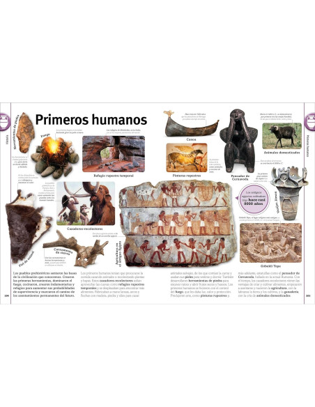 El mundo en imágenes (Our World in Pictures) (DK Our World in Pictures) (Spanish Edition)