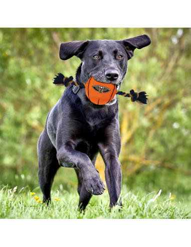 Juguete para perros NBA New Orleans Pelicans con cuerda