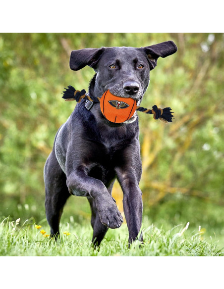 Juguete para perros NBA New Orleans Pelicans con cuerda