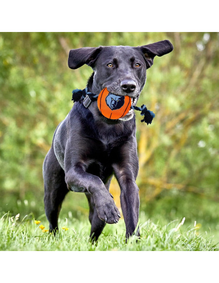 Juguete para perros Pets First NBA Baloncesto Grizzlies