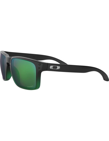 Gafas de Sol Oakley Holbrook OO9102 + Accesorios VISIOVA