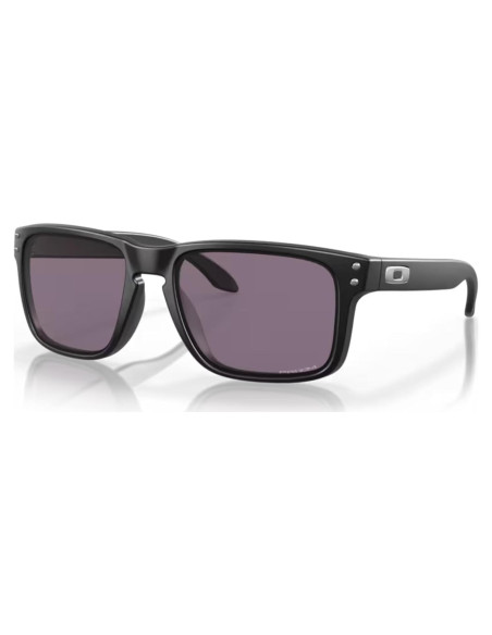Gafas de sol Oakley Holbrook OO9102 con lentes Prizm