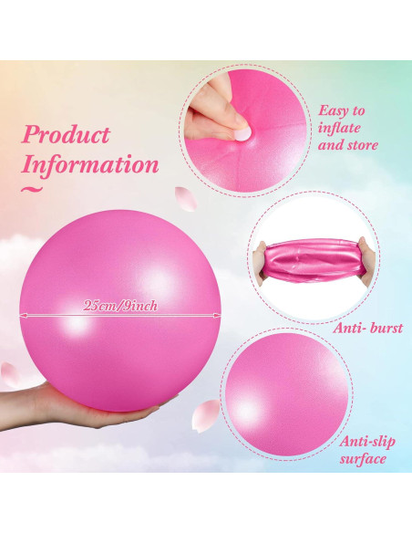 Pelotas de Ejercicio Aoriher 10 Piezas 25 cm PVC Rosa Púrpura