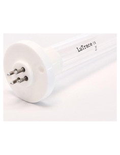 Lámpara UV de Reemplazo LuTrace AS-IH-1001 30.48 cm