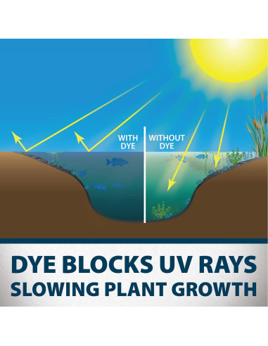 Colorante Azul Natural Airmax para Estanques - 2 Paquetes