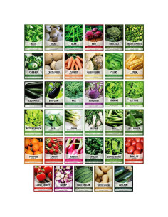 Kit de Jardinería Gardeners Basics con 16,000 Semillas No-OGM 2