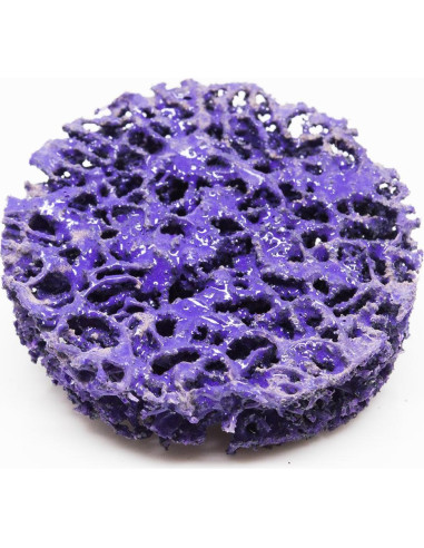 Discos de Lijado 2" Benchmark Abrasives Nylon Tipo R - Paquete de 10