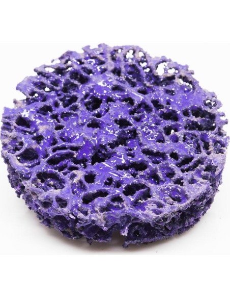 Discos de Lijado 2" Benchmark Abrasives Nylon Tipo R - Paquete de 10