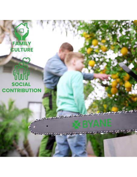 Cadena de Motosierra BYANE 25.4 cm 3/8 LP Pitch 40 Enlaces