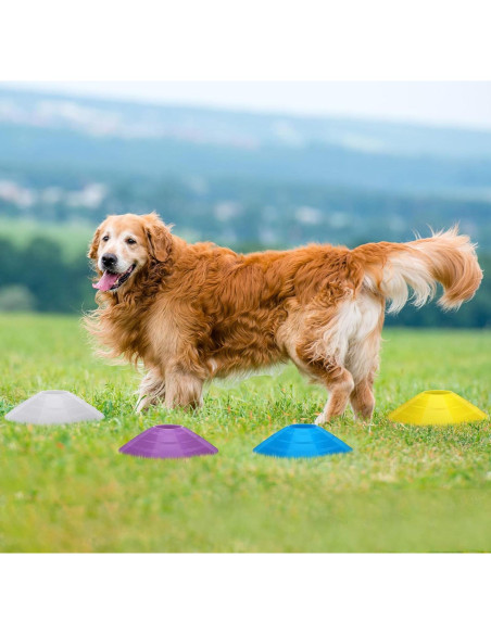Conos de Fútbol Jerify 80 Pcs Multicolor con Soportes